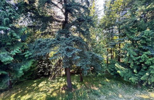 Pearl on the ridge sauna,hot tub,game room,groups - Foto 41