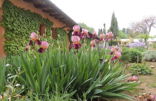 Resort Villa Manin - Foto 44