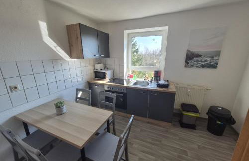 Monteurzimmer und Ferienwohnung bei Leuna, Halle, Leipzig - Foto 1