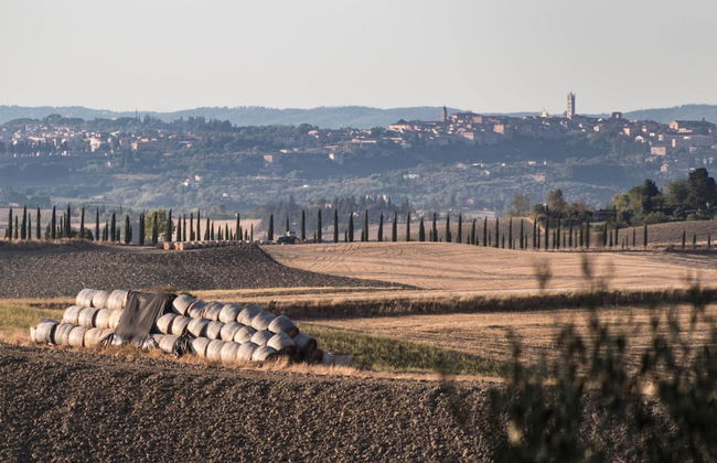 La Palazzina in Monteroni D Arbia - Foto 38
