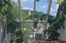 Ferienwohnung Opas Gewächshaus - Foto 3