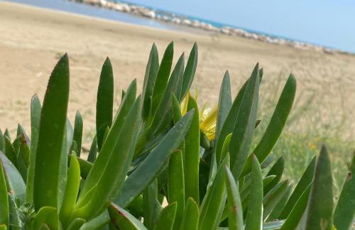 Deliziosa Villetta - Foto 10