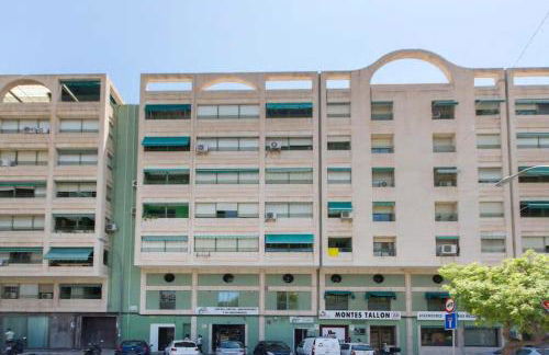 Flamenco I - Photo 31