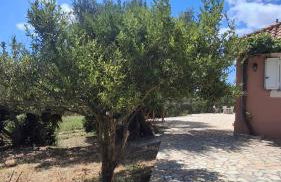 Olivo Apartment - Studio - Foto 16