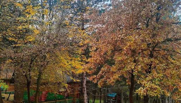 ÇAMPINARI DOĞA EVLERİ & RESTAURANT - Foto 4, Recepción