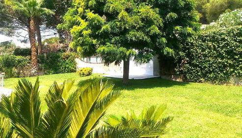 Villa delle Muse - Foto 5, Garden