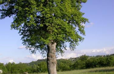 Antica Dimora - Foto 28