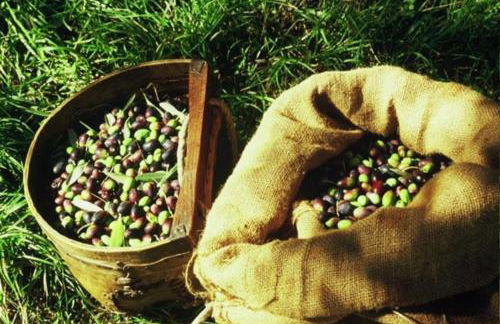 Prabione Antico Borgo Prabiu Appartement Leccino - Foto 48