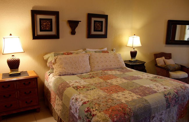 Sonoran Sun II - Foto 35