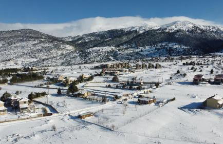 Chalet Renata 1 Livadi Arachovas - Foto 21