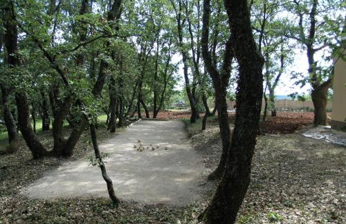 Villa Fragola - Holiday house with large garden - Photo 25