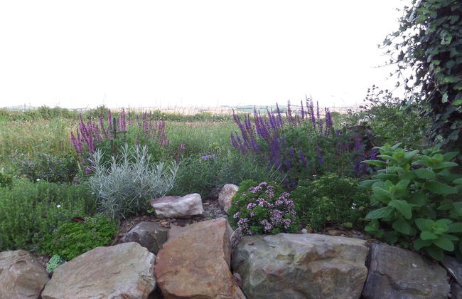 Charming 1-bed Garden Lodge in Boyndie, Banff - Foto 20