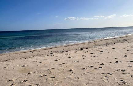 Casa L'Ulivo - Foto 39