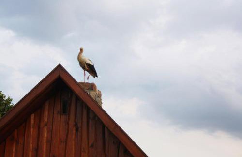 Pod Modrzewiem - Foto 31