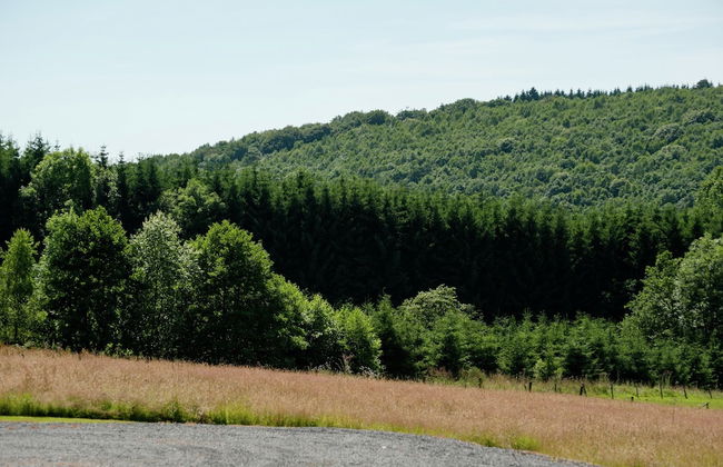 Cottage in Ferrieres With Sauna & Garden - Photo 33