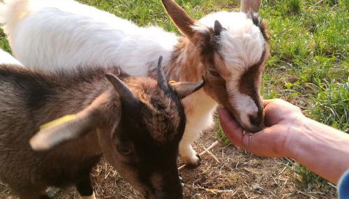 Casa Rural Altzibar-berri - Foto 3