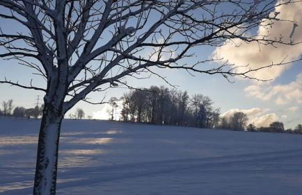 Ferienwohnung Urlaub über den Second Hand Lädchen - Foto 28