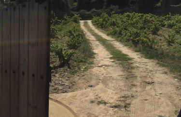 Casa rural en El Burguillo -Vitalia 2 CR-AV-1251 - Photo 20