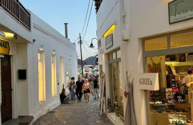 Παραδοσιακό διαμέρισμα Ειρήνη - Foto 65