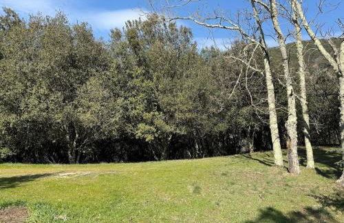 La Grossille Mas avec piscine - Foto 22