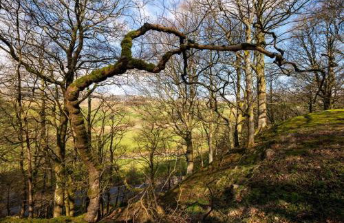 1 Bed in Hawes oc-94120 - Photo 27