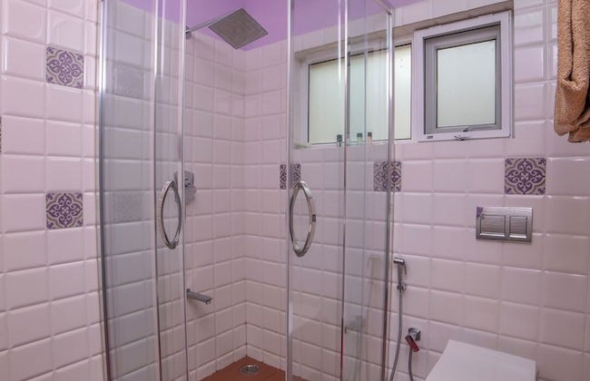 Rayne Forest - Foto 22