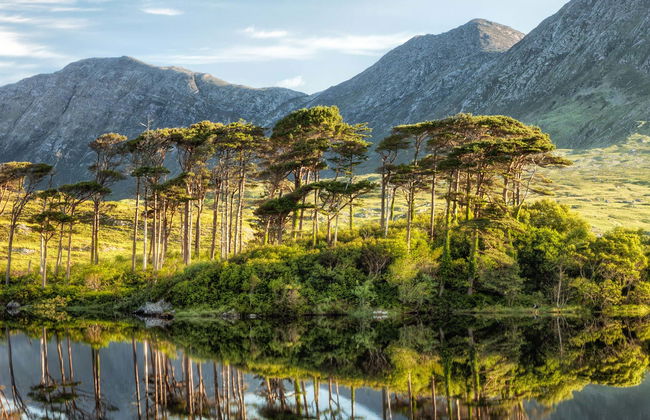 Connemara Tour - Foto 1