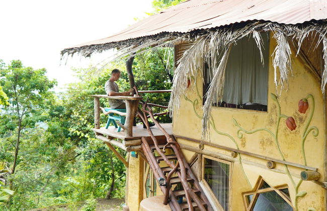 Sol de minca - Photo 23