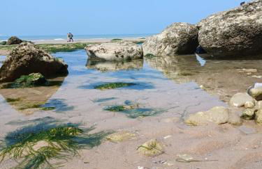 Au Petit Wissant - Foto 40