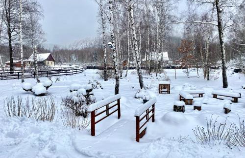 Pod Śnieżnikiem - Foto 26