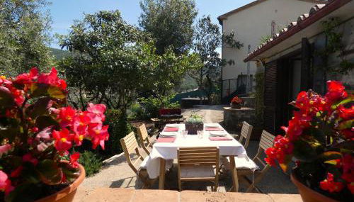 SCAPPO IN UMBRIA, la casa di Giuliana - Foto 4, Garden view