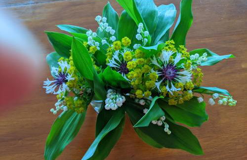 Le Nourhoët havre de Paix à l'Orée de Brocéliande - Foto 13