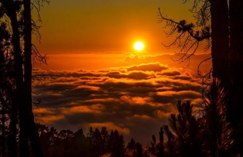 Bodega Linda - Foto 28