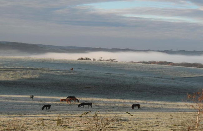 Sprimont Sauna & Garden Stay - Foto 36