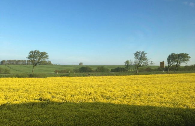 Black-headed Gull Comfortable Holiday Residence - Foto 7