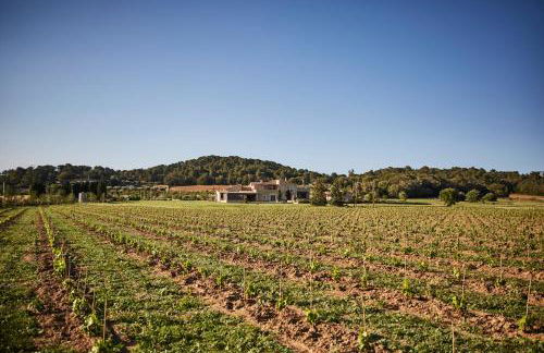 Ola Living Playa del Castell - Foto 57