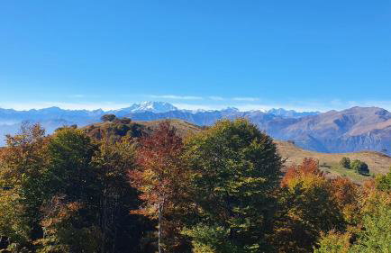 Mid of Nature ' Bella Vista Lago Maggiore charmant mit traumhaften Seeblick, Terrasse und großen Garten - Foto 72