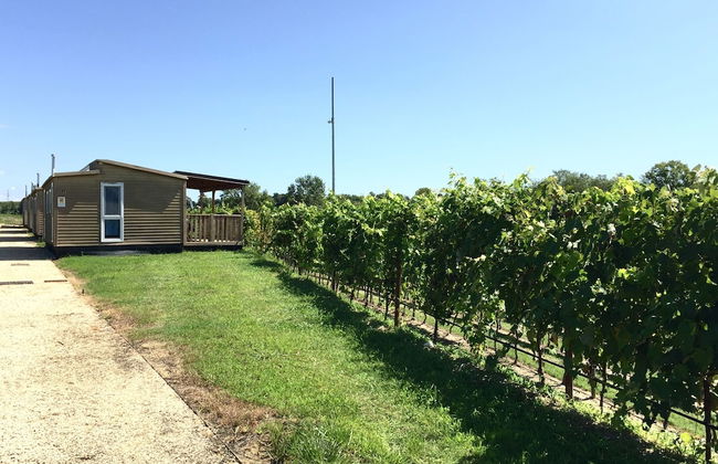 Agriturismo San Leone - Photo 21