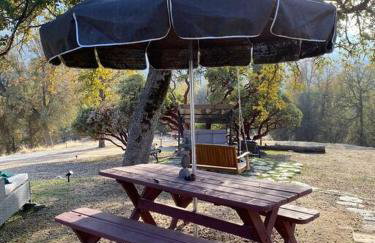 Modern House on 5 acr in Sequoia National Forest - Foto 72