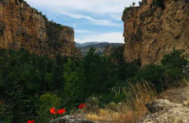 Casa Cervantes - Photo 39