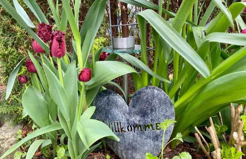 Ferienwohnung an der romantischen Salzachschleife Nähe Salzburg - Foto 31