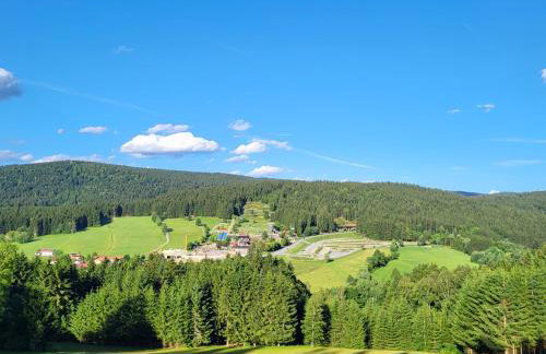 Bergzauber Bayerwald - voll ausgestattetes Familienapartment mit Pool - Foto 10