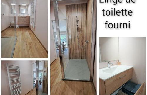 Le P'tit Gîte d'Isa, 15 km du Puy du Fou - Foto 41