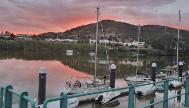 HuesPet&You - Foto 3