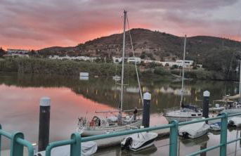 HuesPet&You - Foto 3