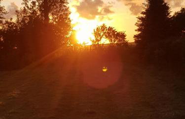 Apartament Pod Dębem - Foto 24