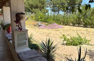 Amélia's House (Casa das Amélias) - Foto 6