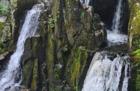 RELAX CHALET Nature Retreat - isolé sur 3 hectares - confort de LUXE - maison entière 150m2 - près de La Bresse - Foto 43