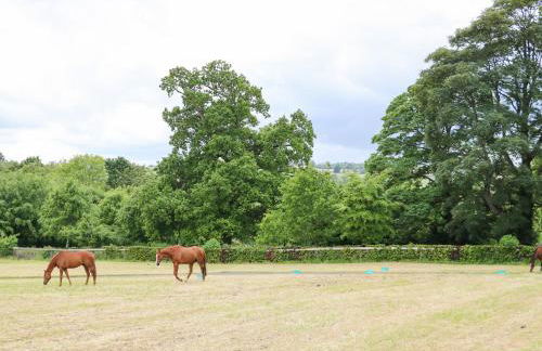 Scarvagh House - Foto 39