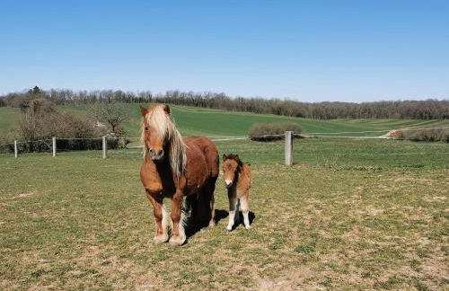 La Maison du Colombier - Foto 23